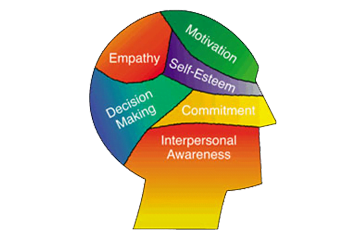 Emotional Intelligence
